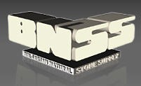 BNSS