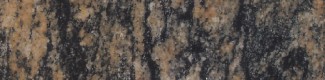 Coral Missi