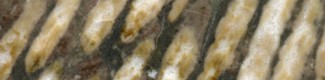 Grautropf