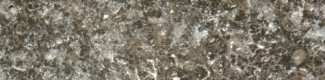 Oberdolaer Muschelkalk