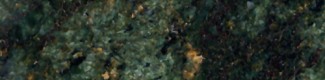 Sea Weed Green