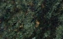 Sea Weed Green Granite, India