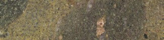 Alacritous Green